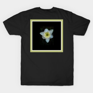 White Daffodil T-Shirt